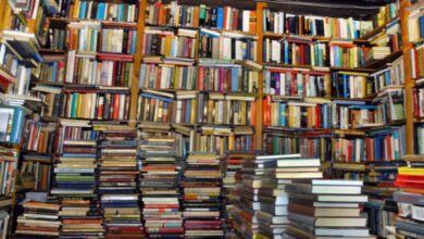 The Power and Importance of Books in Our Lives