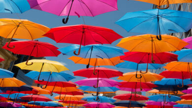 The Umbrella: A Lifesaver in Stormy Weather and Beyond